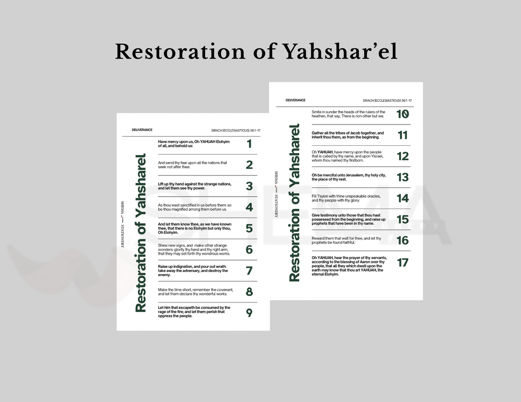 Shabbat Shalom Series