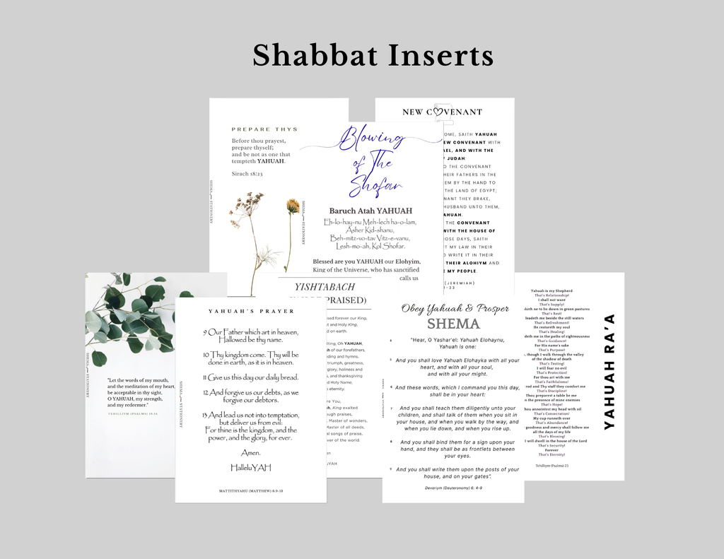 Shabbat Shalom Series