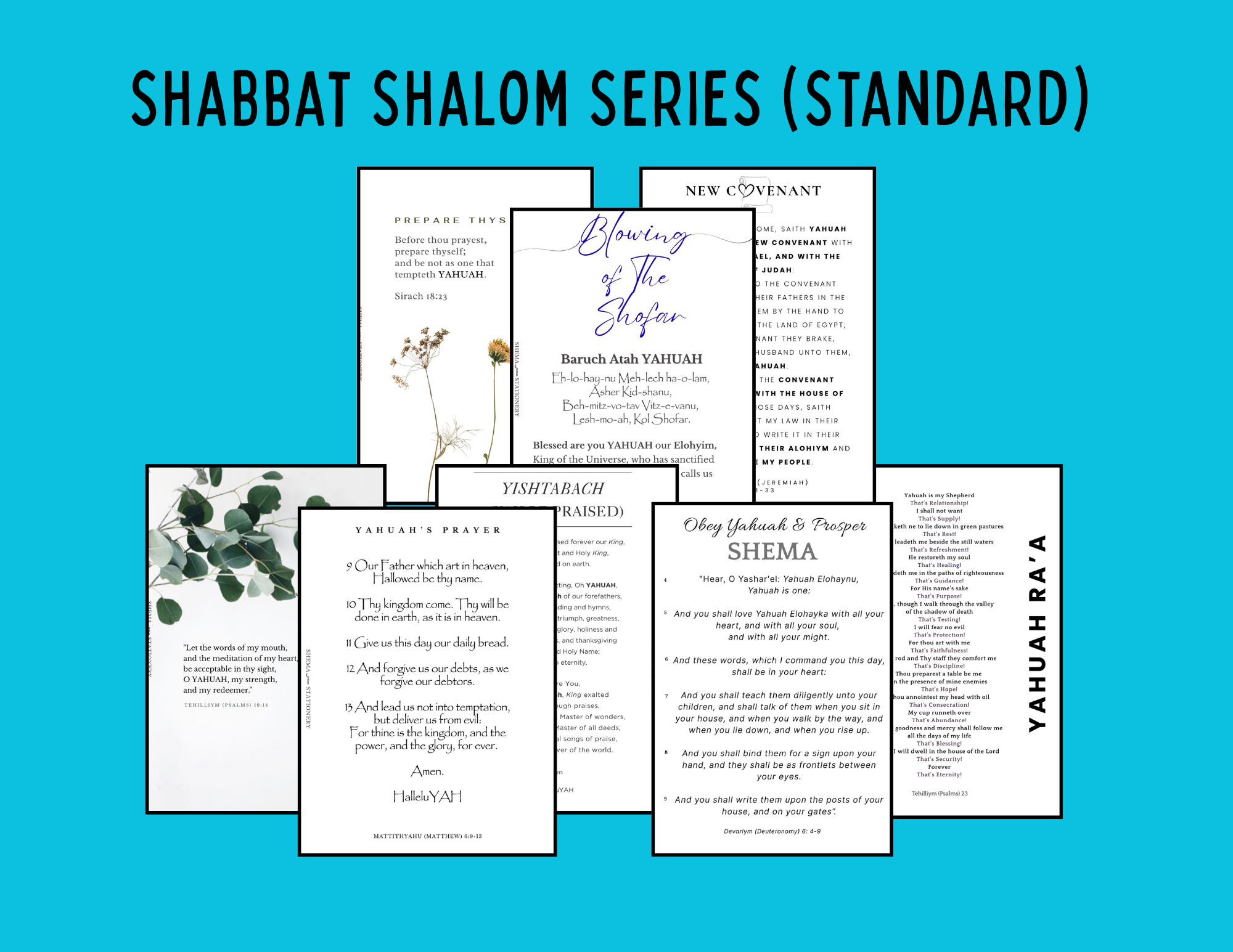 Shabbat Shalom Series (Sheets)